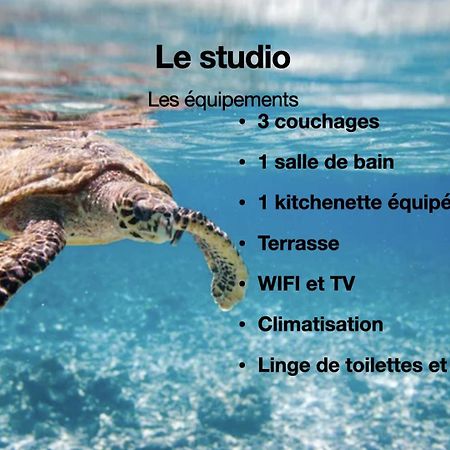 Studio Hippocampe P&V Sainte-Luce Buitenkant foto
