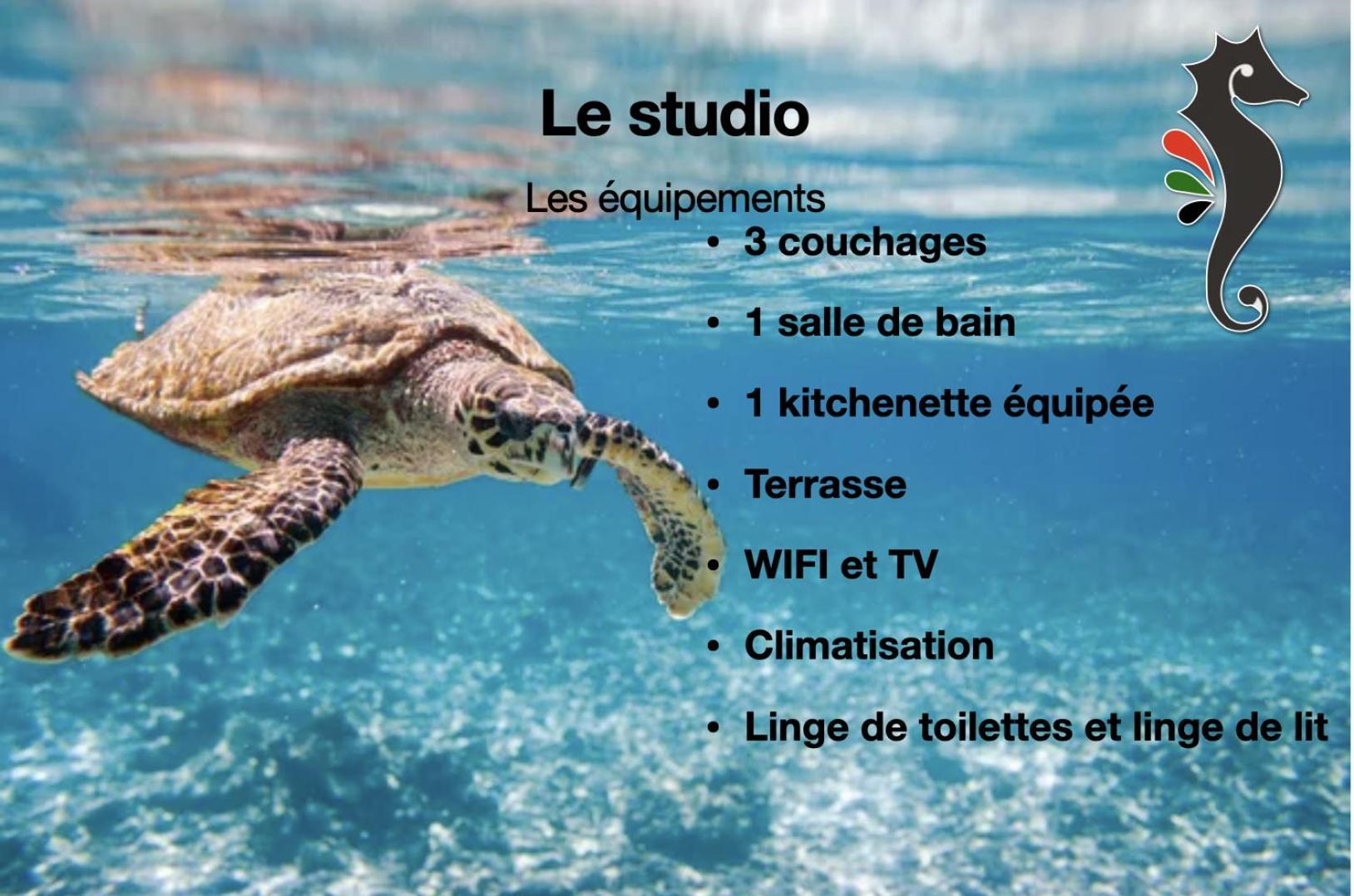Studio Hippocampe P&V Sainte-Luce Buitenkant foto